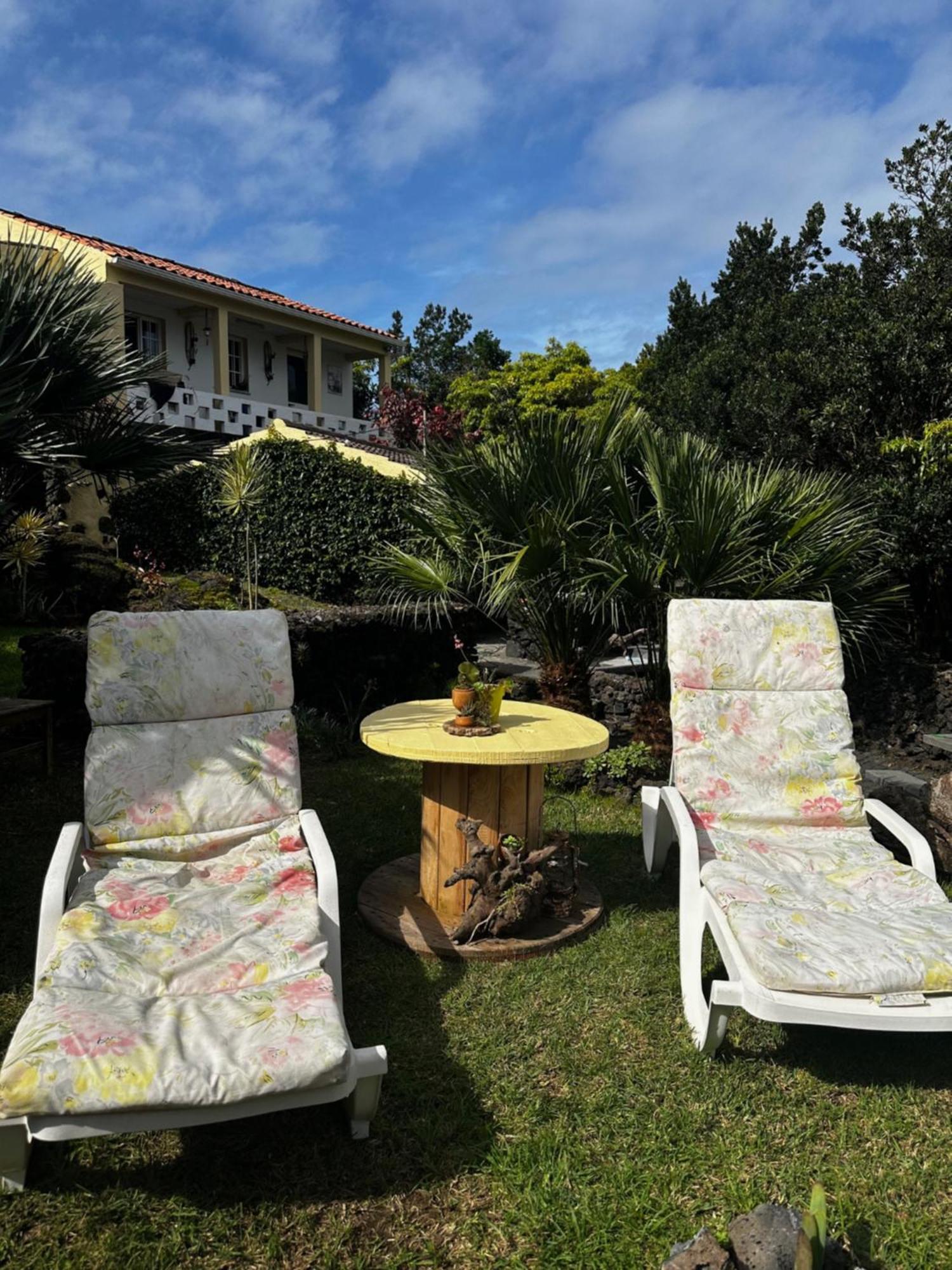 Portugal House Villa Praia do Norte Exteriör bild