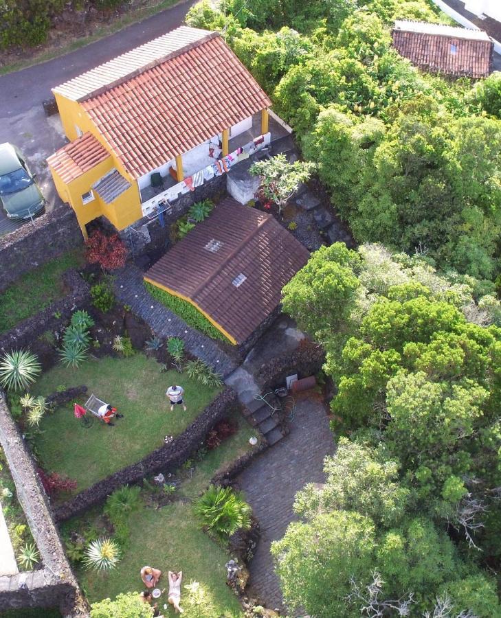 Portugal House Villa Praia do Norte Exteriör bild